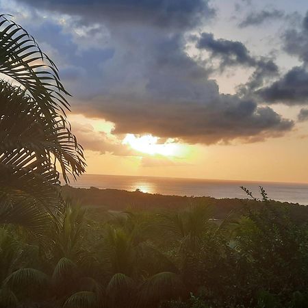 Oasis De Grande Anse Villa Deshaies Exterior foto