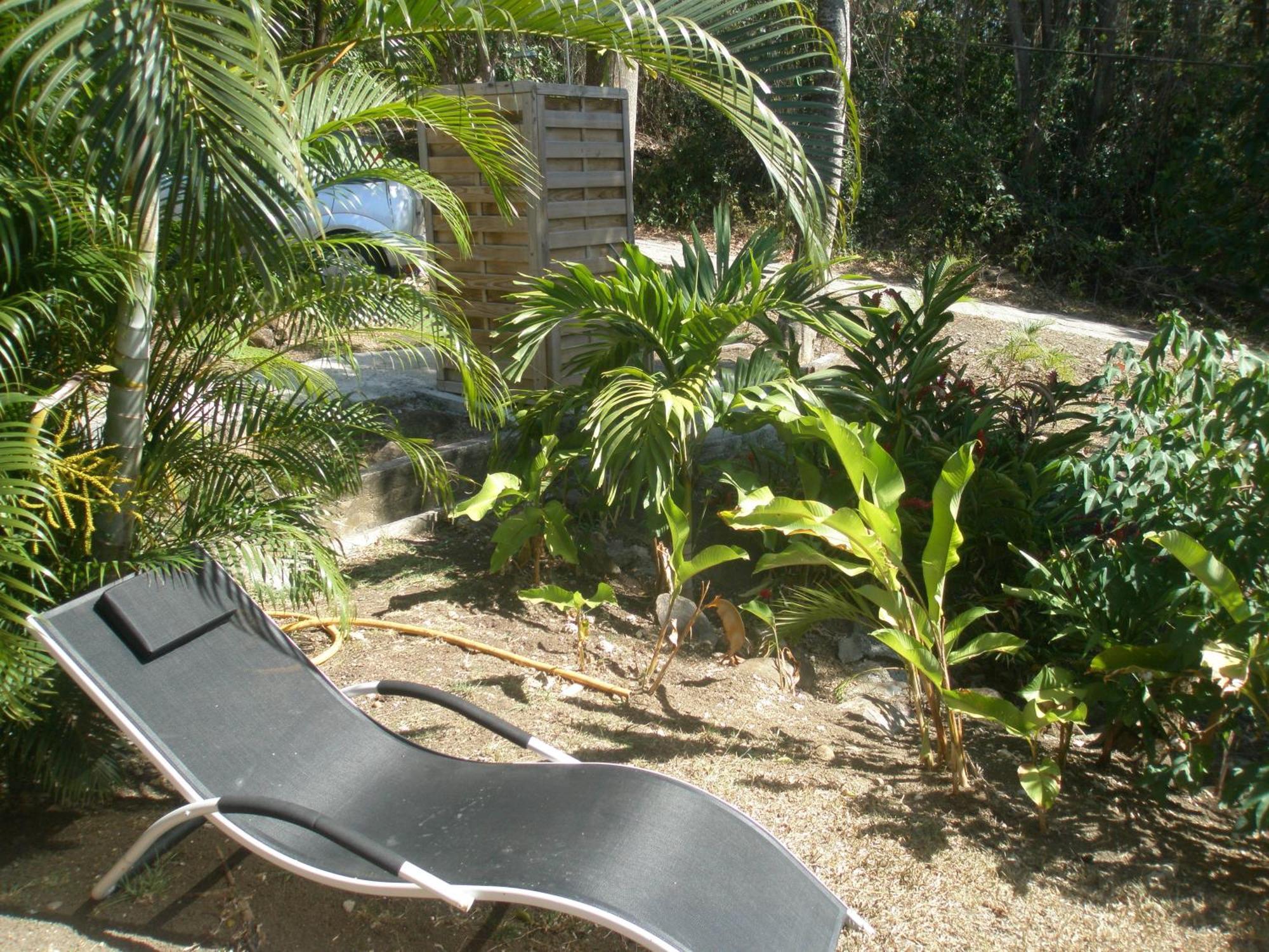 Oasis De Grande Anse Villa Deshaies Cameră foto