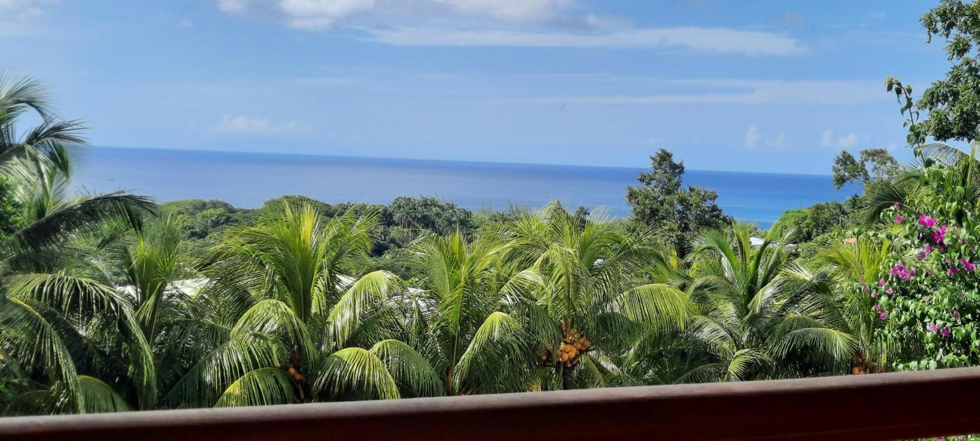 Oasis De Grande Anse Villa Deshaies Exterior foto