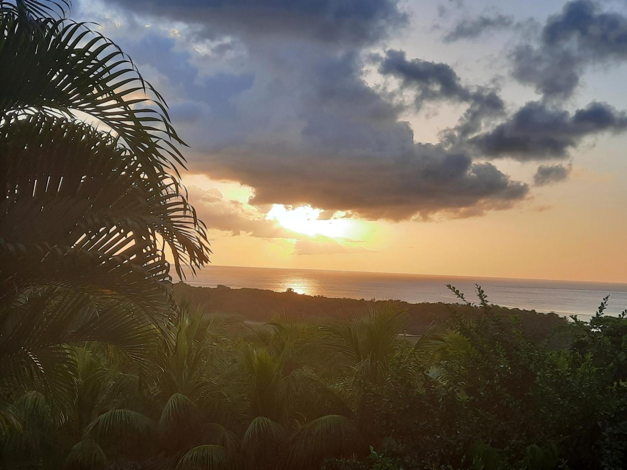 Oasis De Grande Anse Villa Deshaies Exterior foto