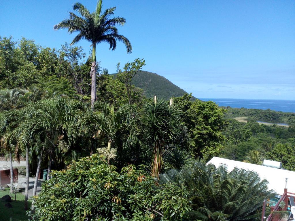 Oasis De Grande Anse Villa Deshaies Exterior foto