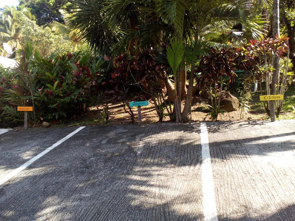 Oasis De Grande Anse Villa Deshaies Exterior foto