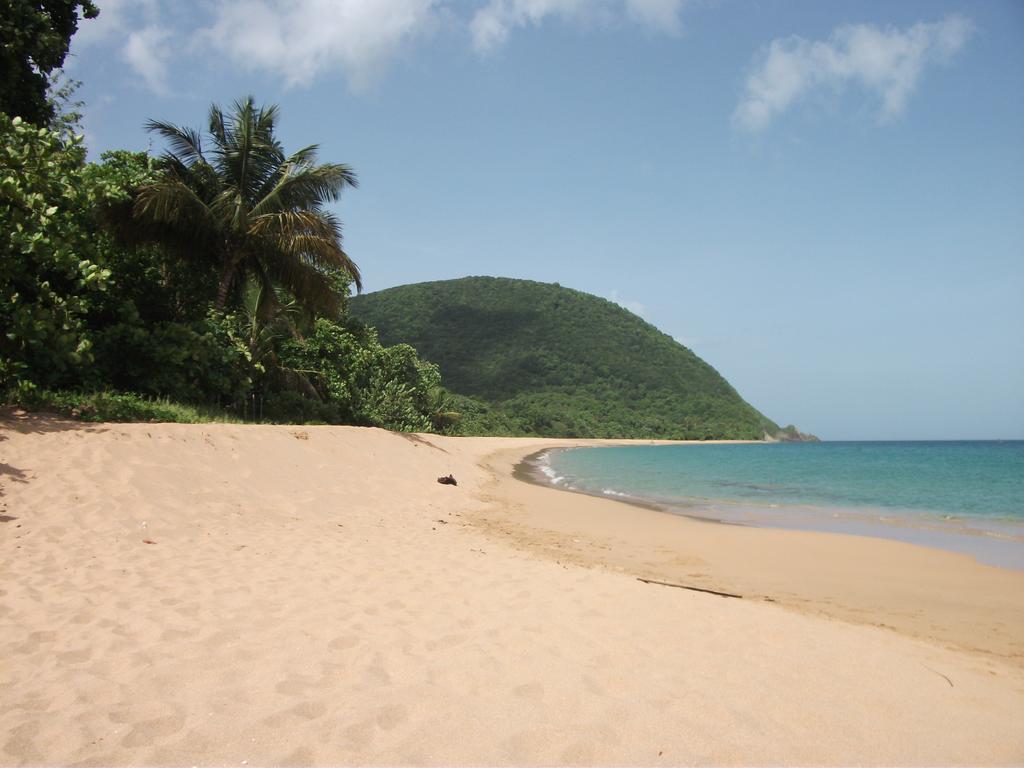 Oasis De Grande Anse Villa Deshaies Cameră foto