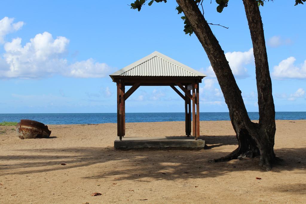 Oasis De Grande Anse Villa Deshaies Exterior foto