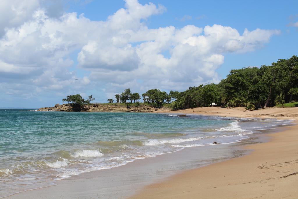 Oasis De Grande Anse Villa Deshaies Exterior foto