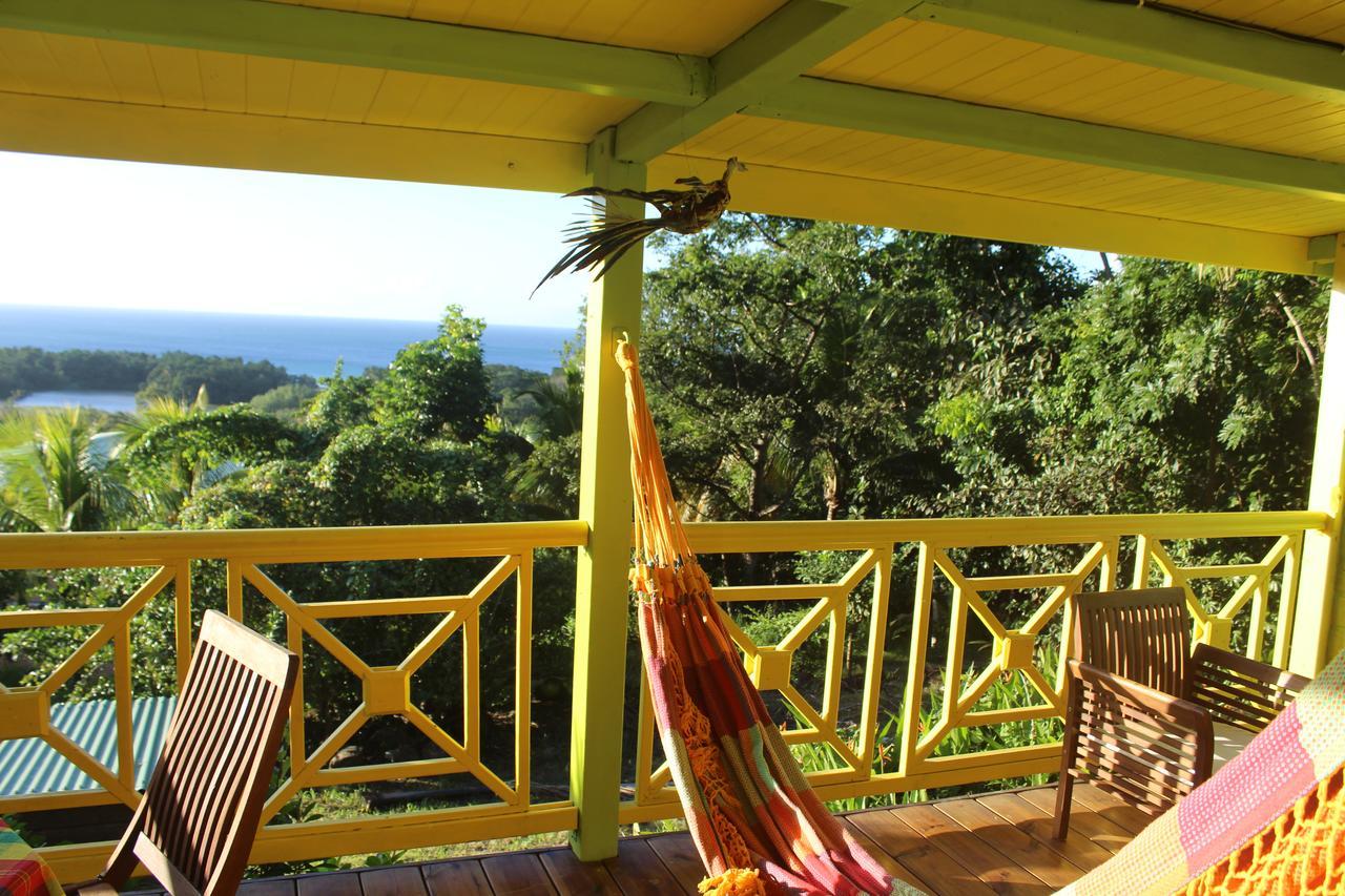 Oasis De Grande Anse Villa Deshaies Exterior foto