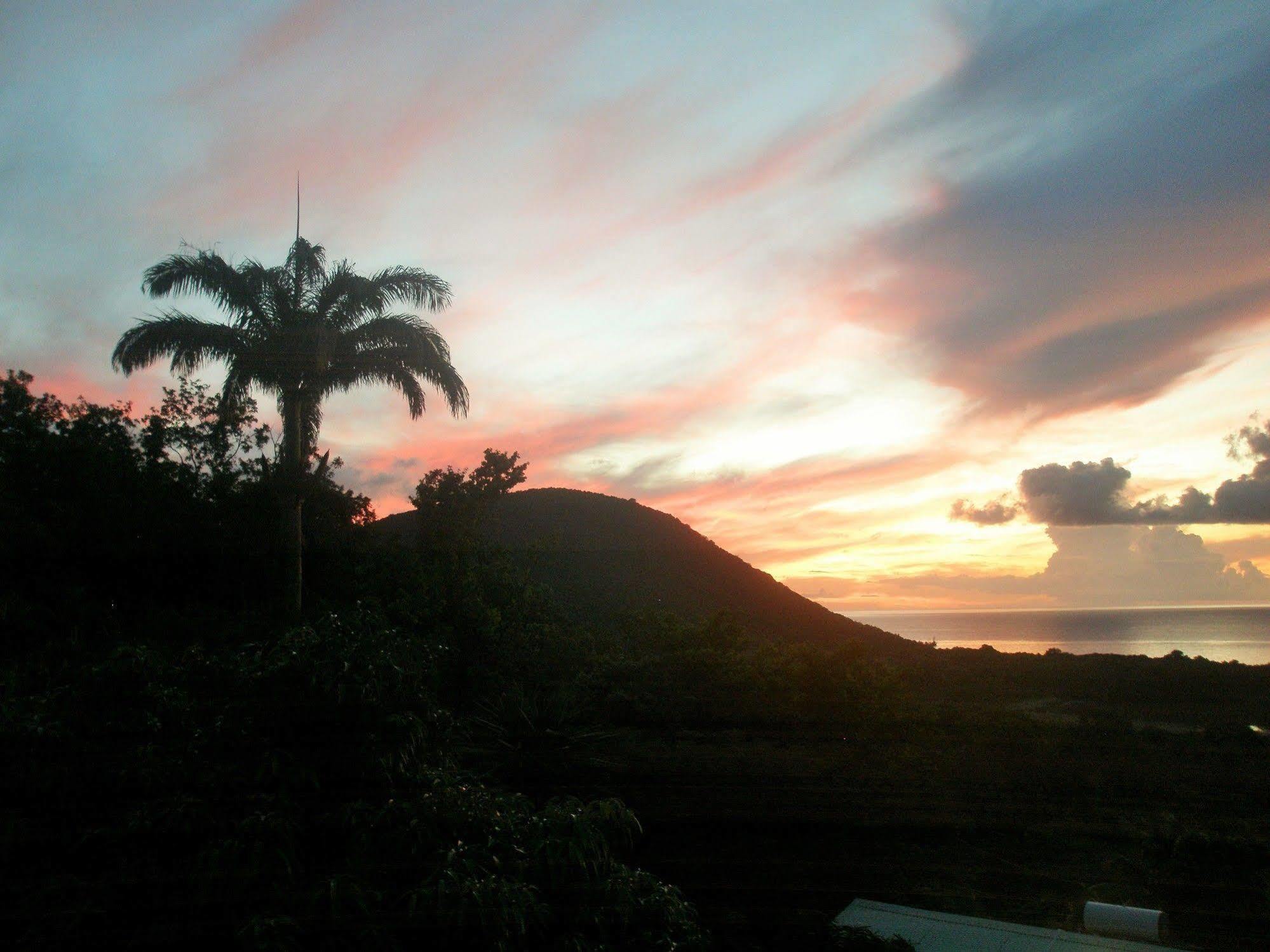 Oasis De Grande Anse Villa Deshaies Exterior foto