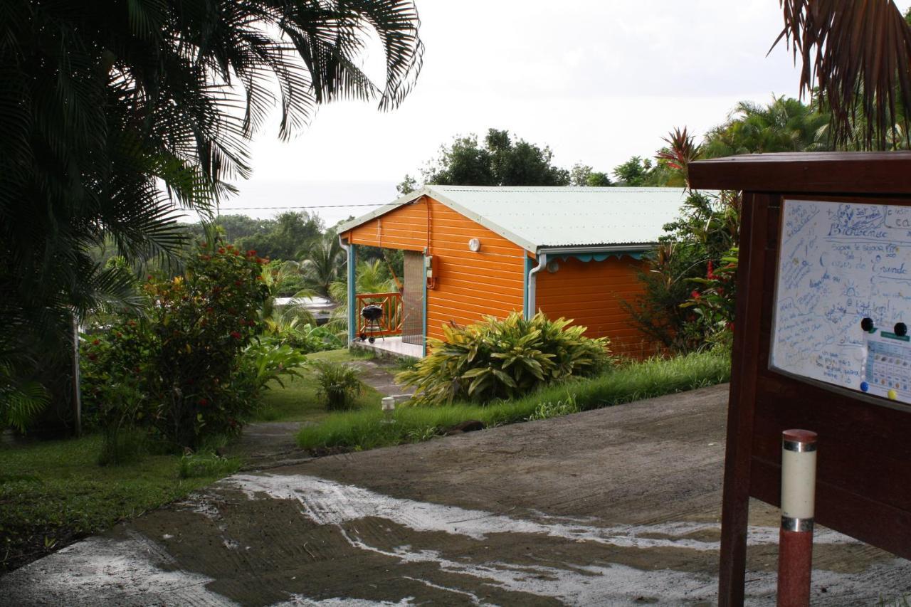 Oasis De Grande Anse Villa Deshaies Exterior foto